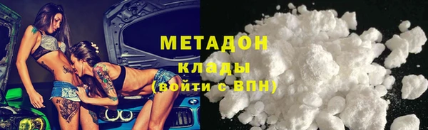 индика Алексин