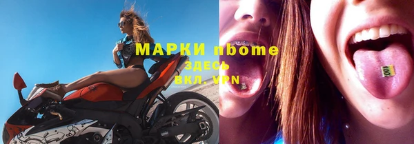 индика Алзамай