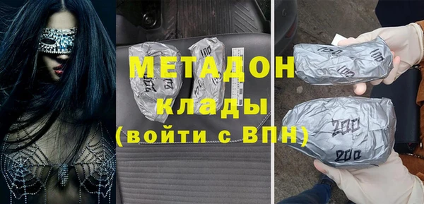 индика Алзамай