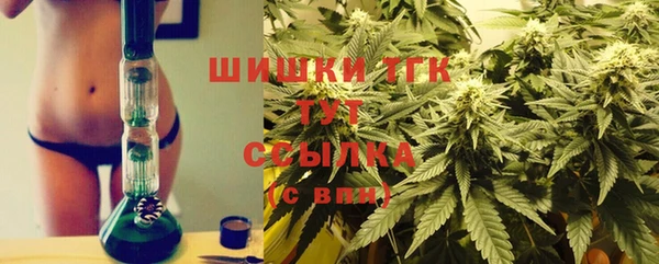 индика Алексин
