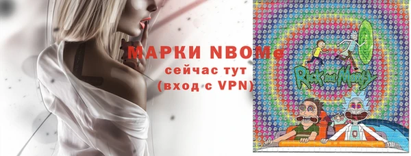 индика Алексин