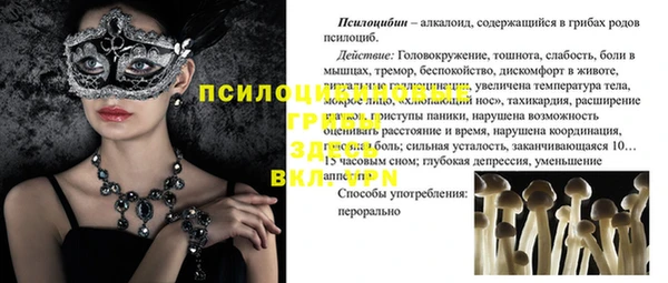 индика Алзамай