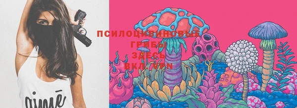 индика Алзамай