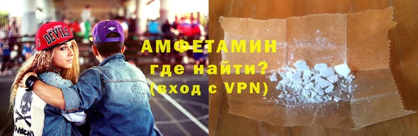 индика Алзамай