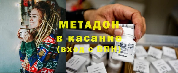 индика Алексин