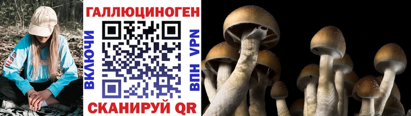 Галлюциногенные грибы MAGIC MUSHROOMS  наркота  Котельники 